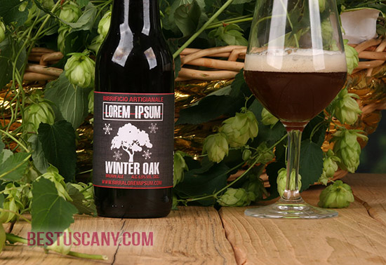 birra artigianale brown ale winter oak - homemade beers