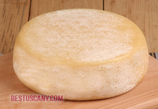 pecorino stagionato bucena toscana - typical Tuscan cheese dairy